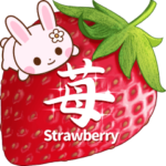 飛び出す♪苺の詰め合わせ