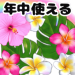 ハワイのお花と大人可愛い文字がずっと動く