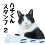 黒白ハチワレねこのハチくんスタンプ2