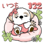 シーズー犬 132『いつも・ずっと使ってね』