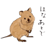 愛らしく真面目なクオッカさん 関西弁