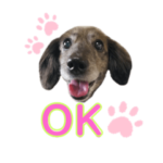 ココアのうんこスタンプ①