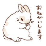 うさぎ、ふわふわのいのち