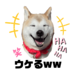 ひめちゃん万能スタンプ