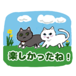 きよ子の猫ちゃんスタンプ　