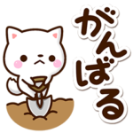 毎日楽しい☆ちびシロシバ