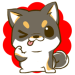 黒しばたん　1　黒柴犬　日本犬