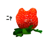 いちご♪ハンター