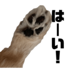 おちびステッカー