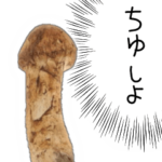 マツタケくん。