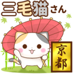 はんなり♪京都の三毛猫さん
