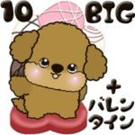 プードル 10『+バレンタインデー』