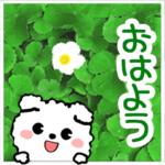 飛び出すモコモコいぬ！毎日使える