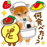 かわいい犬♡家族連絡♡シバ♡ずっと使える