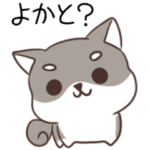 博多弁のしばいぬ