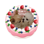 LUNA&SEAです!!バレンタインデー"LOVe"