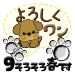 プードル犬 9『そろそろ春ですね』