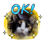 ゴルゴ13猫のももちゃん