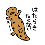 つぶあんなの頭の中