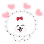 年中使える♬ビション・フリーゼ