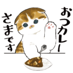 今日はカレーの日2