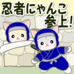 忍者にゃんこ参上！