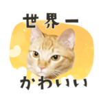 使いやすい！茶トラスタンプ