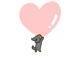 動くMダックス　犬　ブラックタン