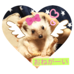 ゆるかわ❤️栗まんじゅう