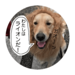 モアモアハッピーバレンタイン