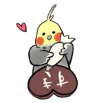 オカメインコのにちじょう2