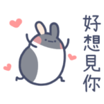 モルモット-ハッピーバレンタインデー