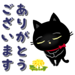 動く☆黒猫子猫ちゃん・日常生活編。