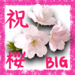 春のお祝いごとの言葉　さくらBIG