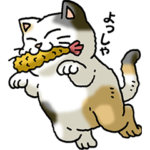 猫ことわざ　その1