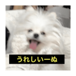 字幕犬 やや使いやすいver