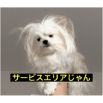 使いにくい字幕犬など