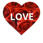 バラで幸せに愛を込めて