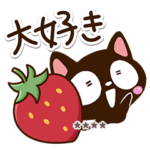 気持ちを伝える☆小さい黒猫