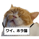 ホラ猫テキストスタンプ