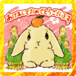 冬のうごくうさぎだよ〜❄️