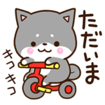 毎日便利な☆おちゃめな黒柴犬