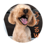 ハリーLINEスタンプ第1弾