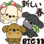 プードル犬 11『それぞれの春』