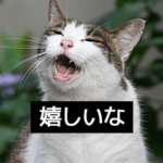 通信回線が重たく感じる写真スタンプ・猫編
