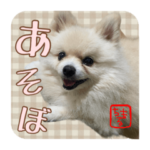 ゆきちまるくん