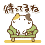 三毛猫にゃん助の日常会話