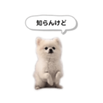 犬のシンプルな日常会話