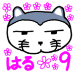 にゃんこのふじおくん9春