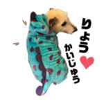 ジャックラッセルテリア の かぶとん ⑥